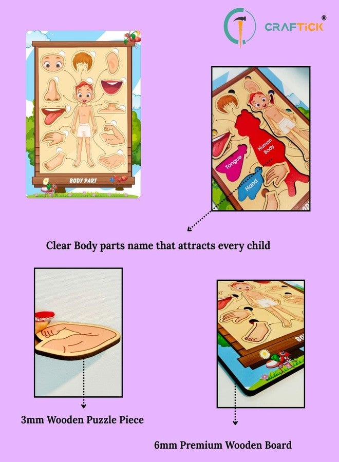 CRAFTICK Body Parts Puzzle Learning Toy for Kids | Pre-School Birthday|Return Gift Educational Board for Kids Set of 1 Multicolor - Image 3